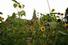 Rosenkranzmonat Oktober